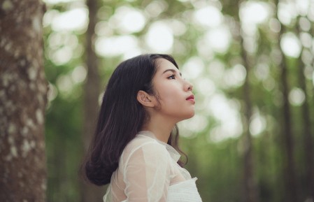 辽宁丹东鑫义康有限公司1