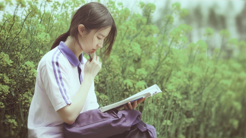 江苏无锡辉弘汇林业集团2