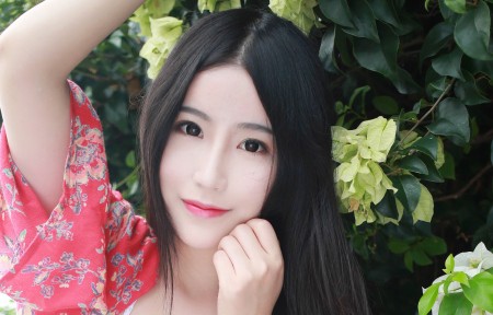 江苏无锡辉弘汇林业集团1